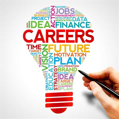 MY CAREER .
